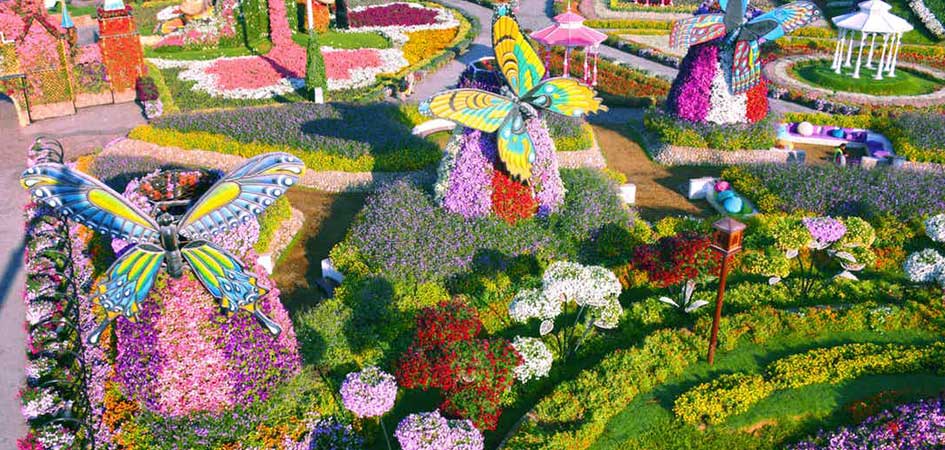 Miracle-Garden.